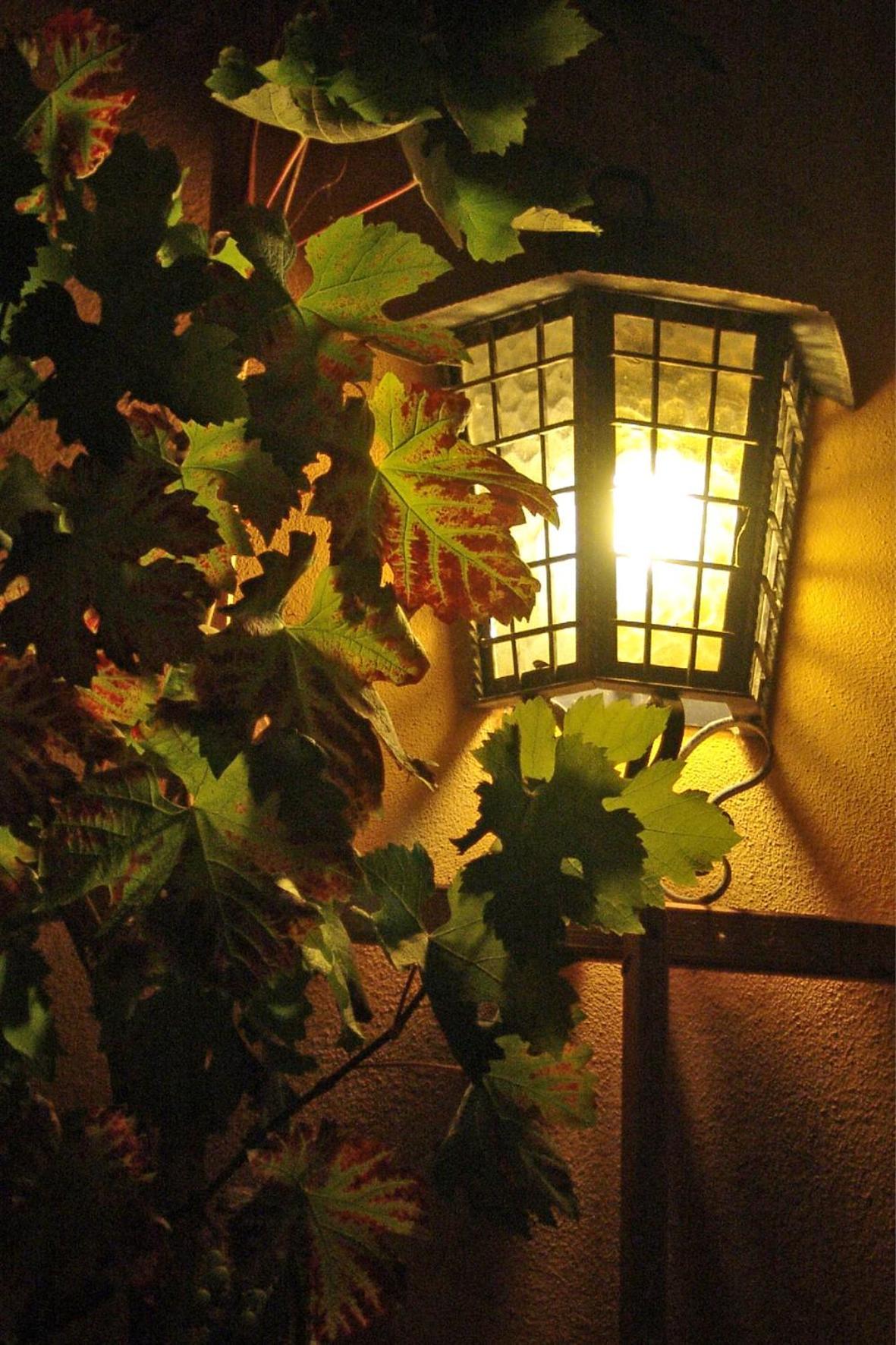 Elbschloesschen Refugium Hotel Pirna Luaran gambar